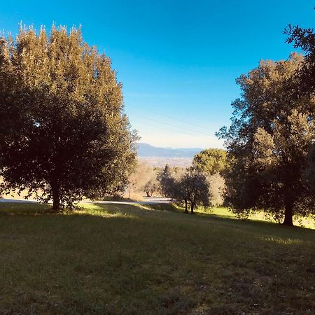 La Residenza Dei Piaceri Perduti- Le Volte Daire Lastra a Signa Dış mekan fotoğraf