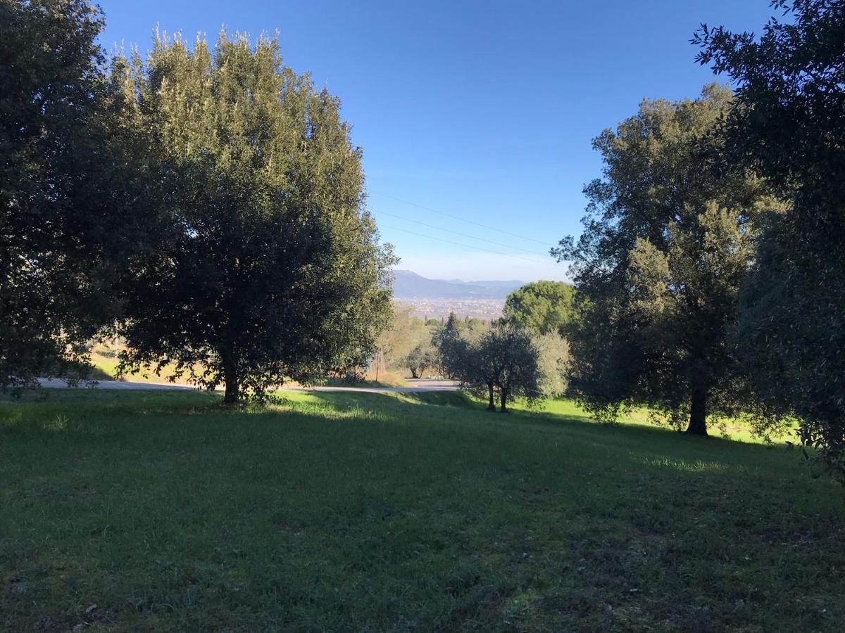 La Residenza Dei Piaceri Perduti- Le Volte Daire Lastra a Signa Dış mekan fotoğraf