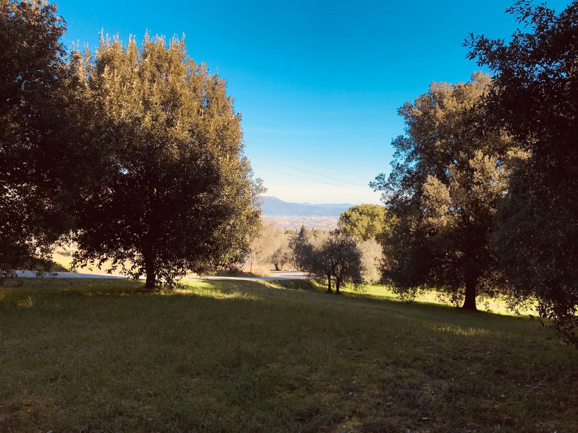 La Residenza Dei Piaceri Perduti- Le Volte Daire Lastra a Signa Dış mekan fotoğraf